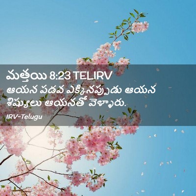 Picture 02 - మత్తయి 8:23 TELIRV - ఆయన పడవ - Bible Verse Picture