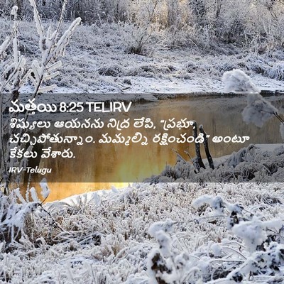 Picture 02 - మత్తయి 8:25 TELIRV - శిష్యులు ఆయనను - Bible Verse Picture