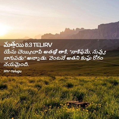 Picture 02 - మత్తయి 8:3 TELIRV - యేసు చెయ్యిచాపి - Bible Verse Picture