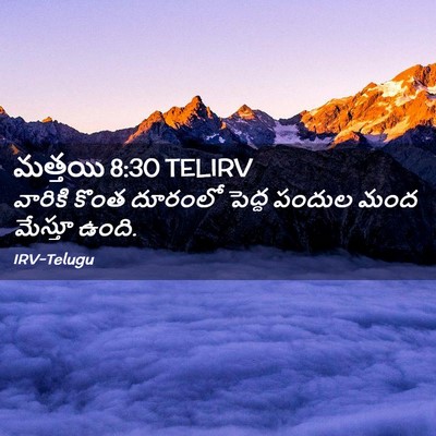 Picture 02 - మత్తయి 8:30 TELIRV - వారికి కొంత - Bible Verse Picture