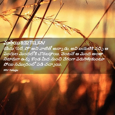 Picture 02 - మత్తయి 8:32 TELIRV - యేసు “సరే, పో” అని - Bible Verse Picture