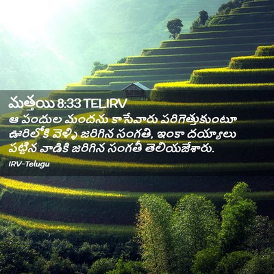 Picture 02 - మత్తయి 8:33 TELIRV - ఆ పందుల మందను - Bible Verse Picture