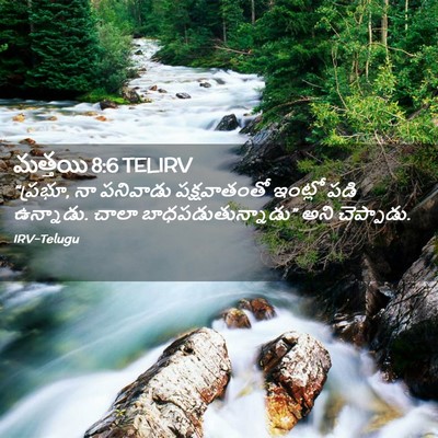 Picture 02 - మత్తయి 8:6 TELIRV - “ప్రభూ, నా పనివాడు - Bible Verse Picture