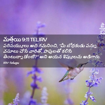 Picture 02 - మత్తయి 9:11 TELIRV - పరిసయ్యులు అది - Bible Verse Picture