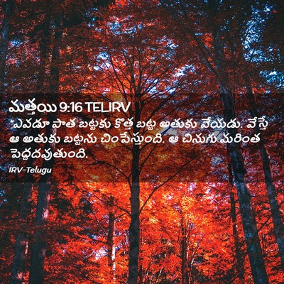 Picture 02 - మత్తయి 9:16 TELIRV - “ఎవడూ పాత బట్టకు - Bible Verse Picture