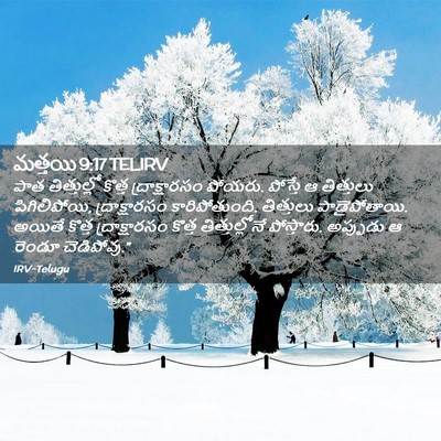 Picture 02 - మత్తయి 9:17 TELIRV - పాత తిత్తుల్లో - Bible Verse Picture