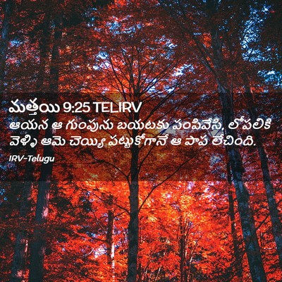 Picture 02 - మత్తయి 9:25 TELIRV - ఆయన ఆ గుంపును - Bible Verse Picture