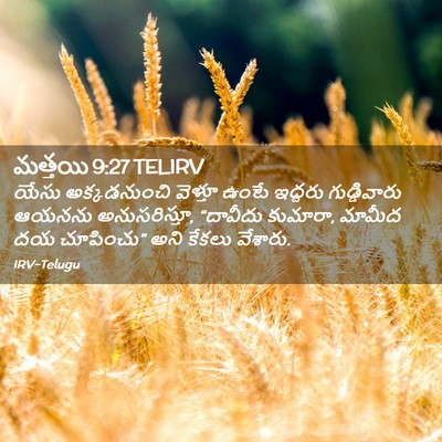 Picture 02 - మత్తయి 9:27 TELIRV - యేసు అక్కడనుంచి - Bible Verse Picture
