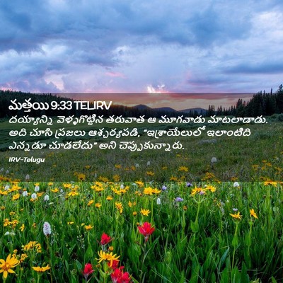 Picture 02 - మత్తయి 9:33 TELIRV - దయ్యాన్ని - Bible Verse Picture