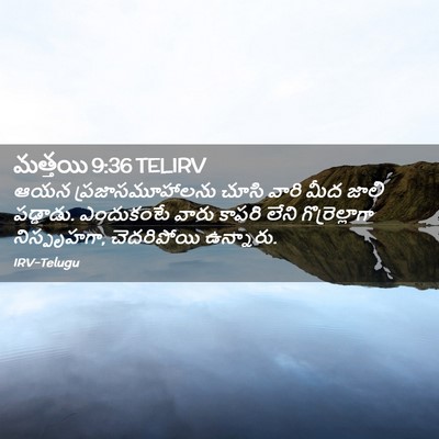 Picture 02 - మత్తయి 9:36 TELIRV - ఆయన ప్రజాసమూహాలను - Bible Verse Picture