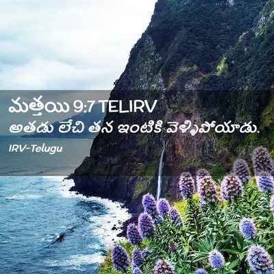 Picture 02 - మత్తయి 9:7 TELIRV - అతడు లేచి తన - Bible Verse Picture