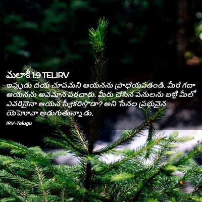 Picture 02 - మలాకీ 1:9 TELIRV - ఇప్పుడు దయ చూపమని - Bible Verse Picture