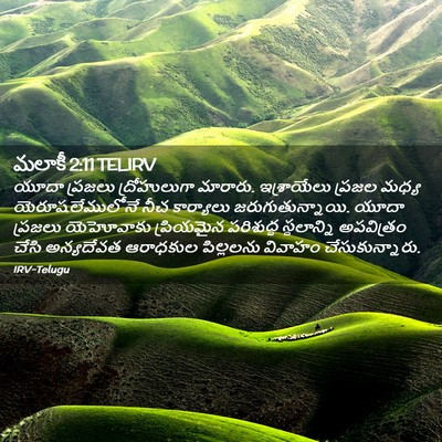 Picture 02 - మలాకీ 2:11 TELIRV - యూదా ప్రజలు - Bible Verse Picture