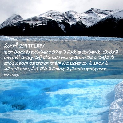 Picture 02 - మలాకీ 2:14 TELIRV - ఇలా ఎందుకు - Bible Verse Picture