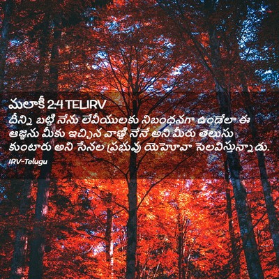 Picture 02 - మలాకీ 2:4 TELIRV - దీన్ని బట్టి నేను - Bible Verse Picture