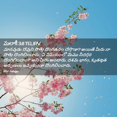 Picture 02 - మలాకీ 3:8 TELIRV - మానవుడు దేవుని - Bible Verse Picture