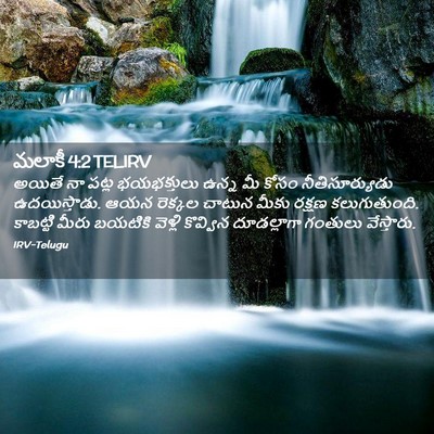 Picture 02 - మలాకీ 4:2 TELIRV - అయితే నా పట్ల - Bible Verse Picture