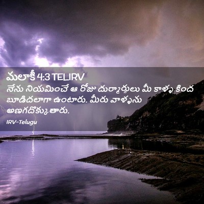 Picture 02 - మలాకీ 4:3 TELIRV - నేను నియమించే ఆ - Bible Verse Picture
