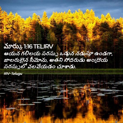 Picture 02 - మార్కు 1:16 TELIRV - ఆయన గలిలయ సరస్సు - Bible Verse Picture