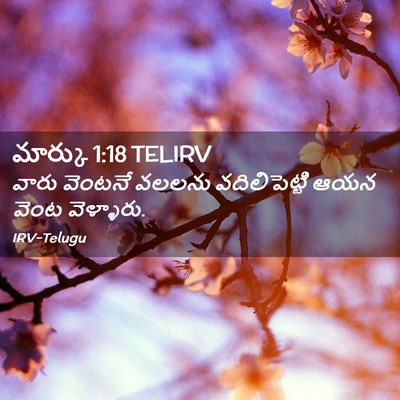 Picture 02 - మార్కు 1:18 TELIRV - వారు వెంటనే వలలను - Bible Verse Picture