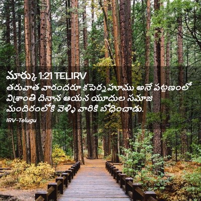 Picture 02 - మార్కు 1:21 TELIRV - తరువాత వారందరూ - Bible Verse Picture