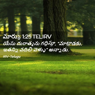 Picture 02 - మార్కు 1:25 TELIRV - యేసు దురాత్మను - Bible Verse Picture