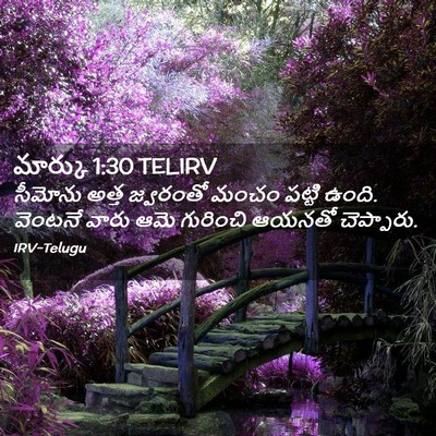 Picture 02 - మార్కు 1:30 TELIRV - సీమోను అత్త - Bible Verse Picture