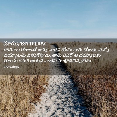 Picture 02 - మార్కు 1:34 TELIRV - రకరకాల రోగాలతో - Bible Verse Picture