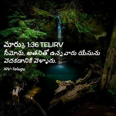 Picture 02 - మార్కు 1:36 TELIRV - సీమోను, అతనితో - Bible Verse Picture