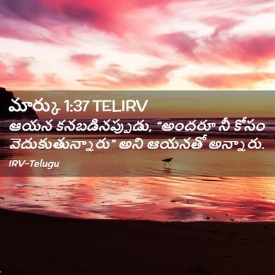 Picture 02 - మార్కు 1:37 TELIRV - ఆయన కనబడినప్పుడు, - Bible Verse Picture