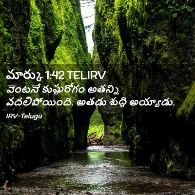 Picture 02 - మార్కు 1:42 TELIRV - వెంటనే కుష్టురోగం - Bible Verse Picture