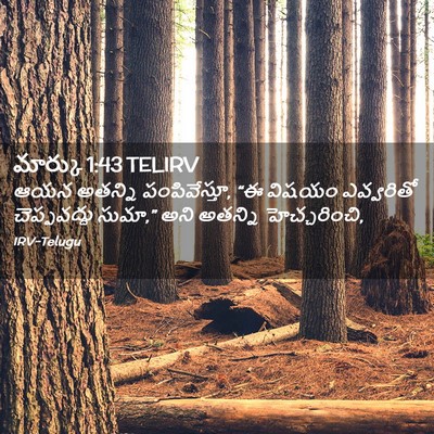 Picture 02 - మార్కు 1:43 TELIRV - ఆయన అతన్ని - Bible Verse Picture