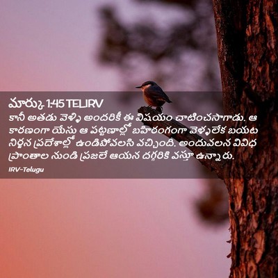 Picture 02 - మార్కు 1:45 TELIRV - కానీ అతడు వెళ్ళి - Bible Verse Picture