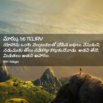 Picture 02 - మార్కు 1:6 TELIRV - యోహాను ఒంటె - Bible Verse Picture
