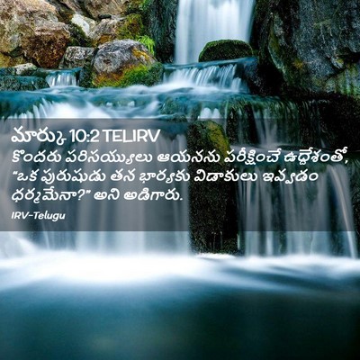Picture 02 - మార్కు 10:2 TELIRV - కొందరు పరిసయ్యులు - Bible Verse Picture