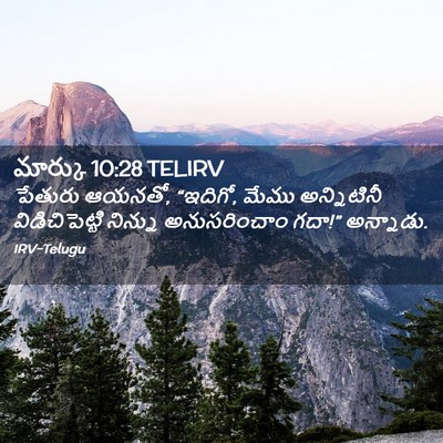 Picture 02 - మార్కు 10:28 TELIRV - పేతురు ఆయనతో, - Bible Verse Picture