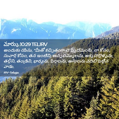 Picture 02 - మార్కు 10:29 TELIRV - అందుకు యేసు, “మీతో - Bible Verse Picture