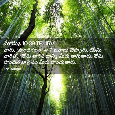 Picture 02 - మార్కు 10:39 TELIRV - వారు, “పొందగలం” - Bible Verse Picture