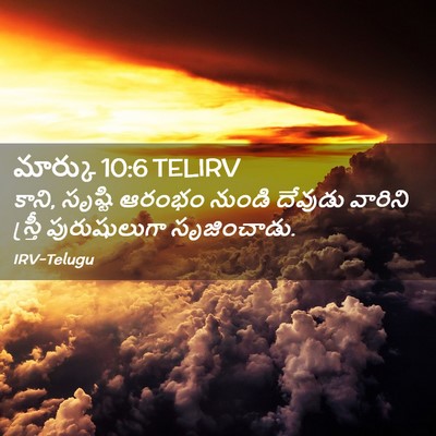 Picture 02 - మార్కు 10:6 TELIRV - కాని, సృష్టి ఆరంభం - Bible Verse Picture