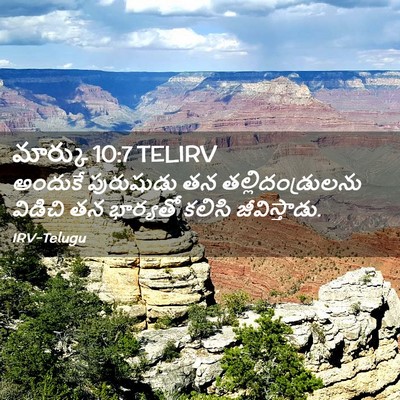 Picture 02 - మార్కు 10:7 TELIRV - అందుకే పురుషుడు - Bible Verse Picture