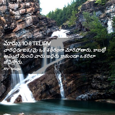 Picture 02 - మార్కు 10:8 TELIRV - వారిద్దరు ఐక్యమై - Bible Verse Picture