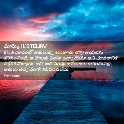 Picture 02 - మార్కు 11:13 TELIRV - కొంత దూరంలో - Bible Verse Picture