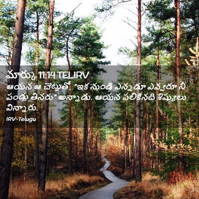Picture 02 - మార్కు 11:14 TELIRV - ఆయన ఆ చెట్టుతో, “ఇక - Bible Verse Picture