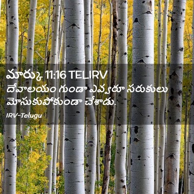 Picture 02 - మార్కు 11:16 TELIRV - దేవాలయం గుండా - Bible Verse Picture