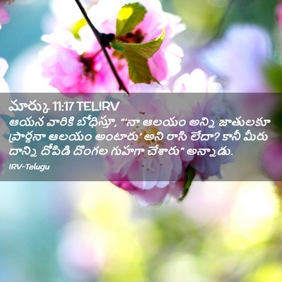 Picture 02 - మార్కు 11:17 TELIRV - ఆయన వారికి - Bible Verse Picture