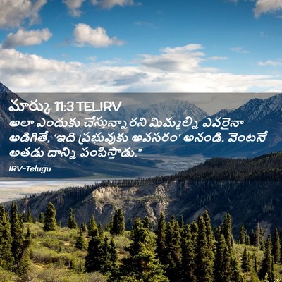 Picture 02 - మార్కు 11:3 TELIRV - అలా ఎందుకు - Bible Verse Picture