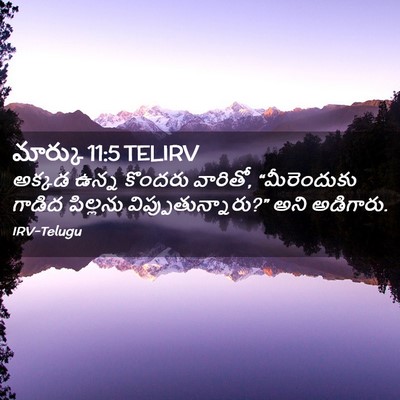 Picture 02 - మార్కు 11:5 TELIRV - అక్కడ ఉన్న కొందరు - Bible Verse Picture