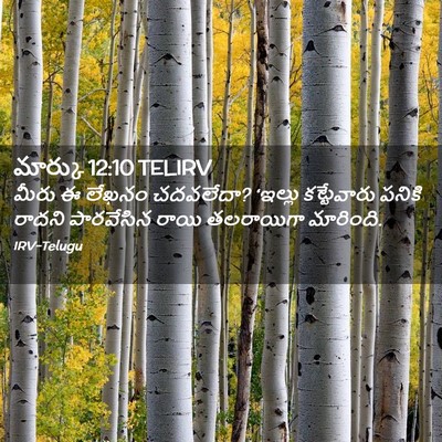 Picture 02 - మార్కు 12:10 TELIRV - మీరు ఈ లేఖనం - Bible Verse Picture