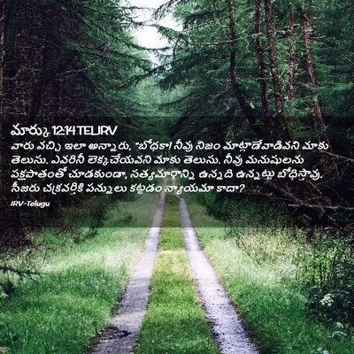 Picture 02 - మార్కు 12:14 TELIRV - వారు వచ్చి ఇలా - Bible Verse Picture