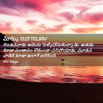Picture 02 - మార్కు 12:21 TELIRV - రెండవవాడు ఆమెను - Bible Verse Picture